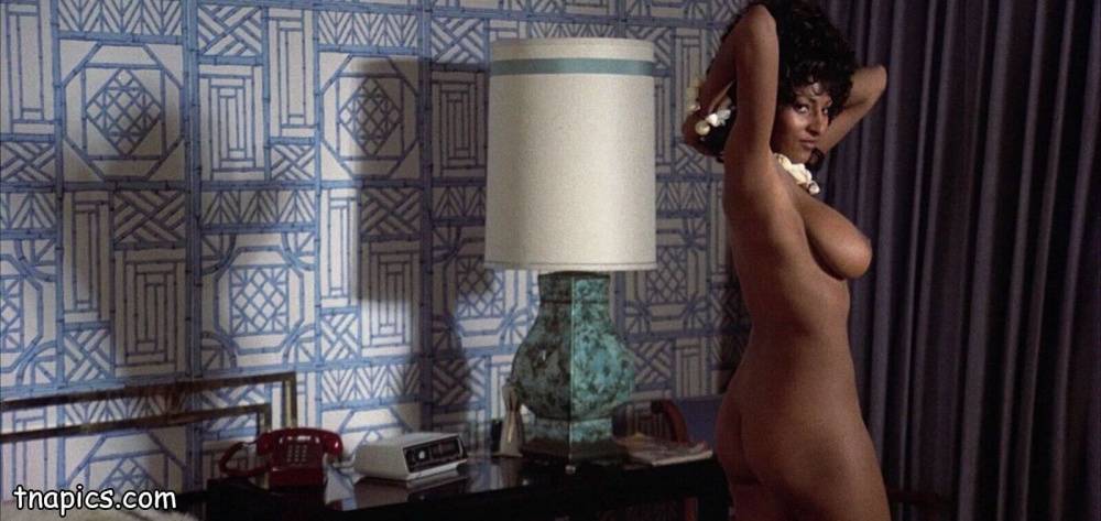Pam Grier Nude Movie Scenes - #13