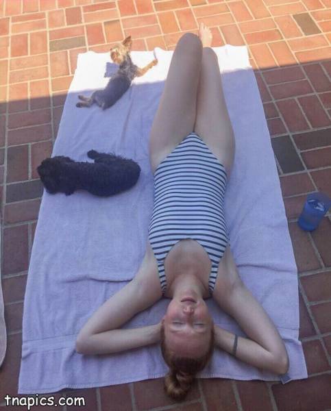 Molly Quinn Nude on picsfans.one